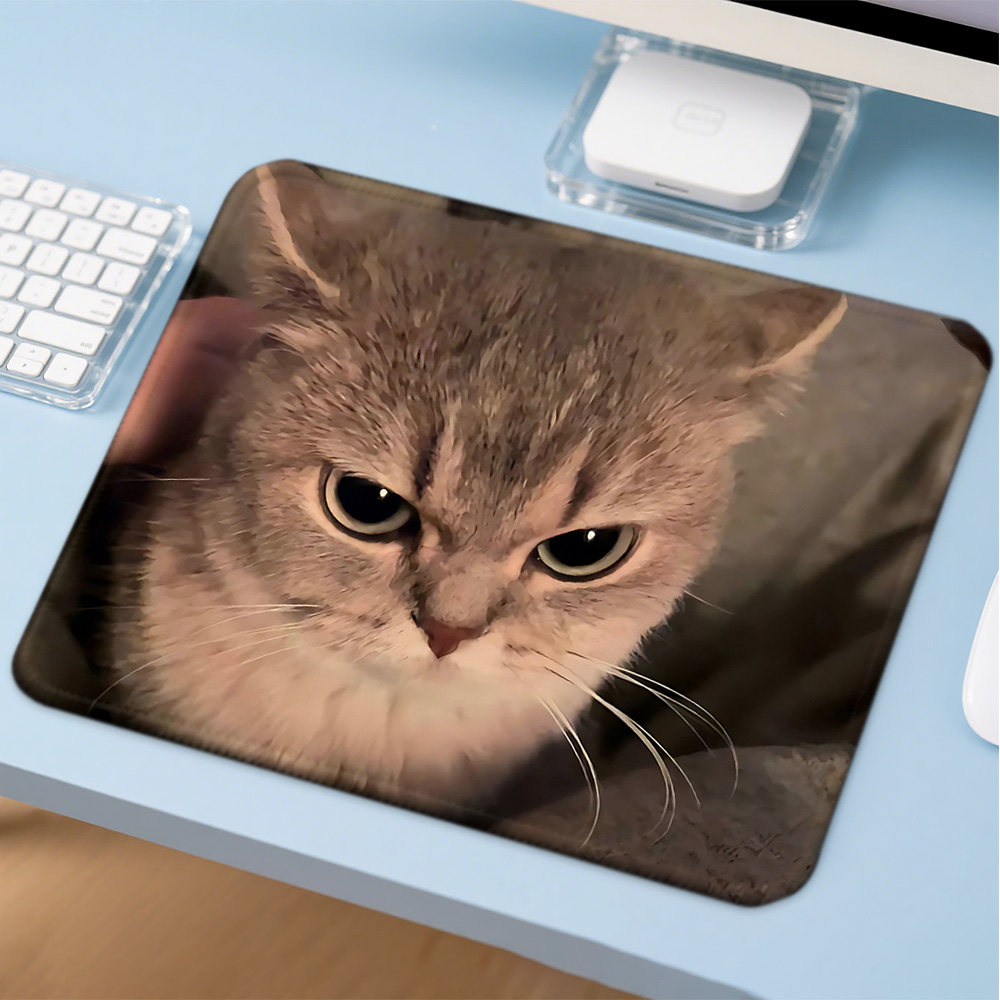 Mosepad かわいい面白い猫コンピュータマットデスクアク - Gaming Accessories Companies のレビューと価格